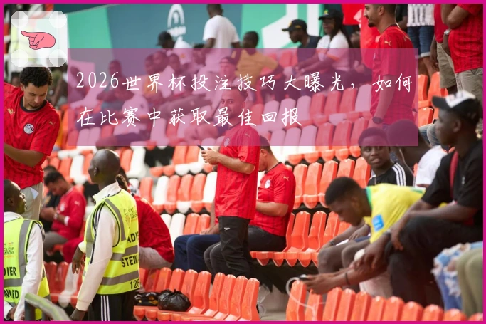 2026世界杯投注技巧大曝光，如何在比赛中获取最佳回报