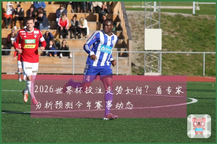 2026世界杯投注走势如何？看专家分析预测今年赛事动态