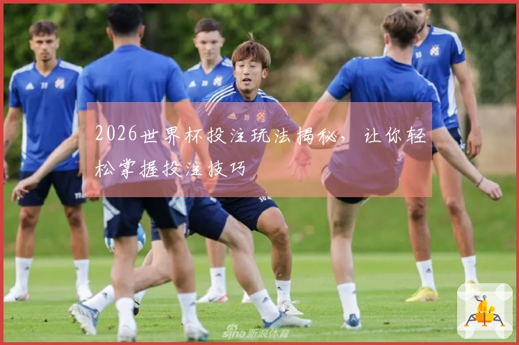 2026世界杯投注玩法揭秘，让你轻松掌握投注技巧