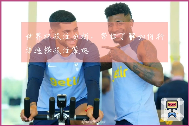 世界杯投注分析，带你了解如何科学选择投注策略