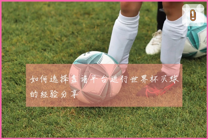 如何选择靠谱平台进行世界杯买球的经验分享