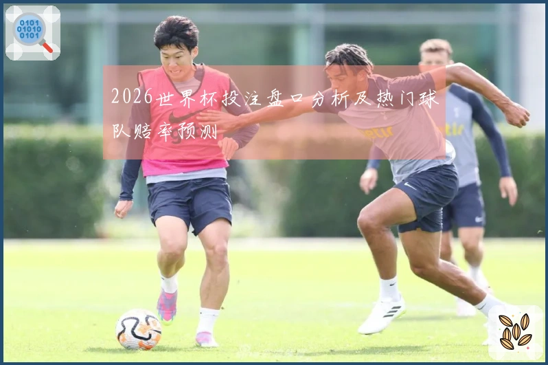 2026世界杯投注盘口分析及热门球队赔率预测
