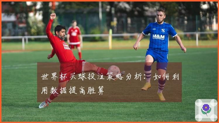 世界杯买球投注策略分析：如何利用数据提高胜算