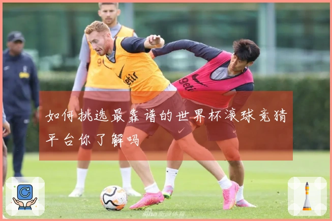 如何挑选最靠谱的世界杯滚球竞猜平台你了解吗