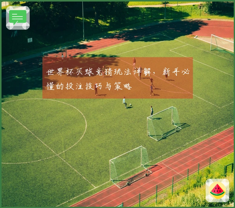世界杯买球竞猜玩法详解，新手必懂的投注技巧与策略
