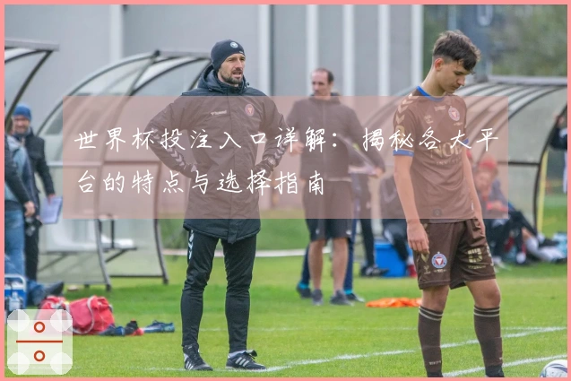 世界杯投注入口详解：揭秘各大平台的特点与选择指南