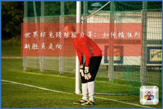 世界杯竞猜经验分享：如何精准判断胜负走向