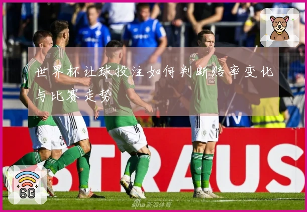 世界杯让球投注如何判断赔率变化与比赛走势