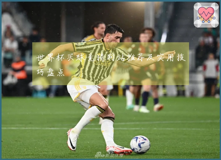 世界杯买球竞猜网站推荐及实用技巧盘点