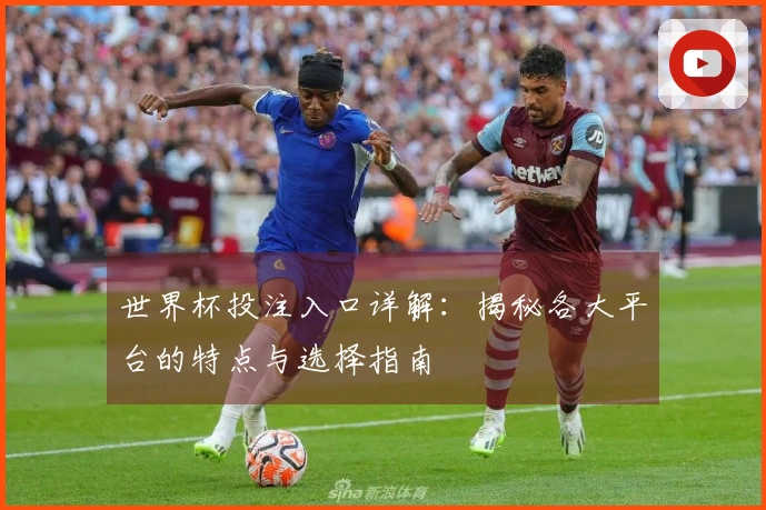 世界杯投注入口详解：揭秘各大平台的特点与选择指南
