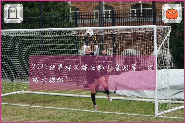 2026世界杯买球去哪儿最划算？攻略大揭秘！