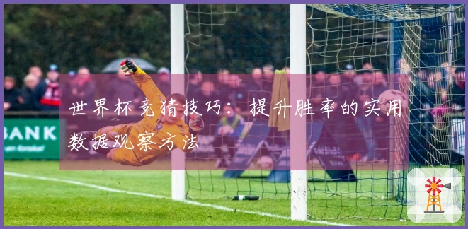 世界杯竞猜技巧：提升胜率的实用数据观察方法