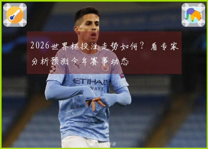 2026世界杯投注走势如何？看专家分析预测今年赛事动态