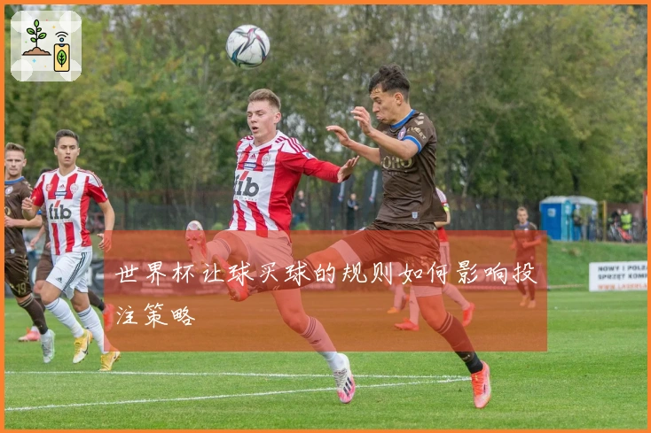 世界杯让球买球的规则如何影响投注策略