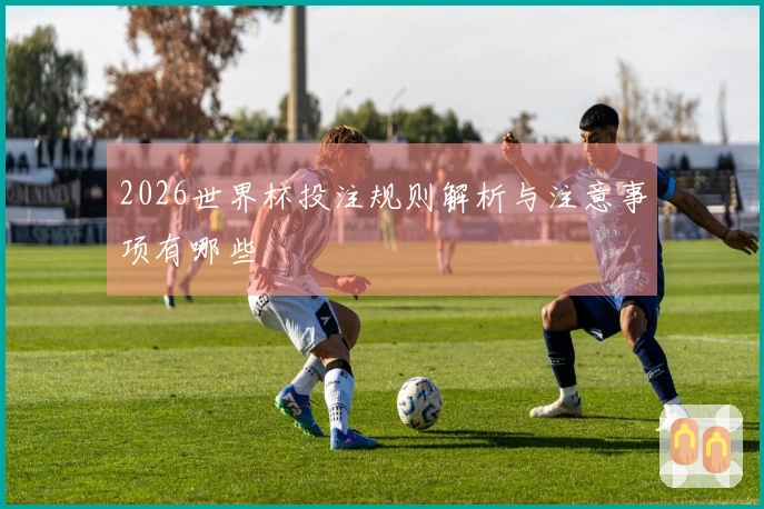 2026世界杯投注规则解析与注意事项有哪些