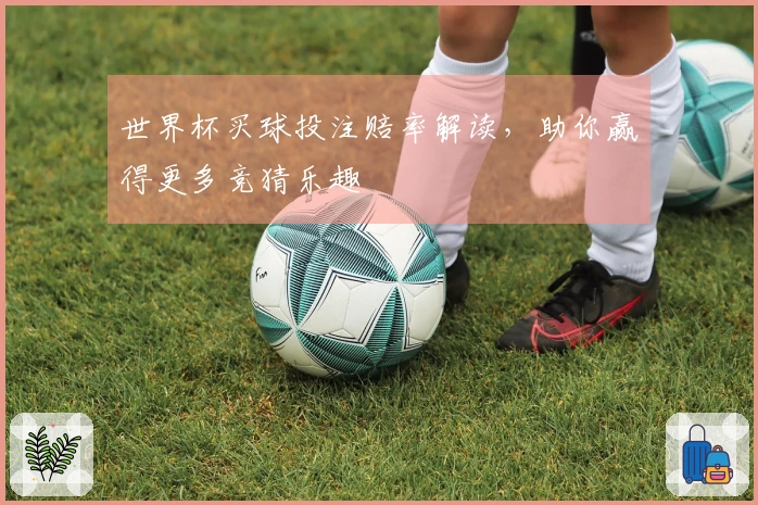 世界杯买球投注赔率解读，助你赢得更多竞猜乐趣
