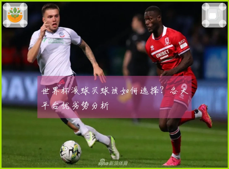 世界杯滚球买球该如何选择？各大平台优劣势分析