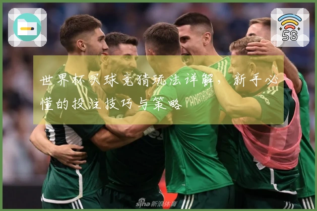 世界杯买球竞猜玩法详解，新手必懂的投注技巧与策略