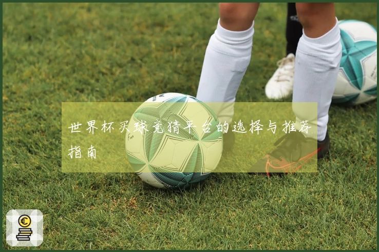 世界杯买球竞猜平台的选择与推荐指南