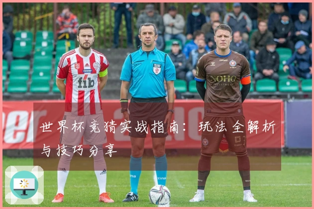 世界杯竞猜实战指南：玩法全解析与技巧分享