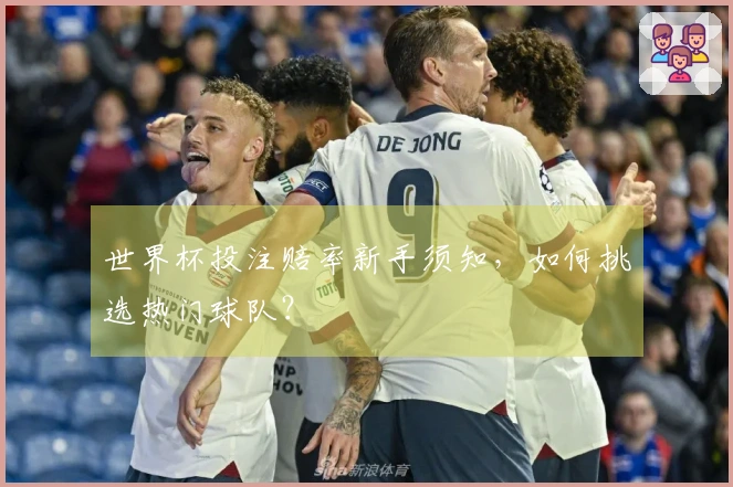 世界杯投注赔率新手须知，如何挑选热门球队？