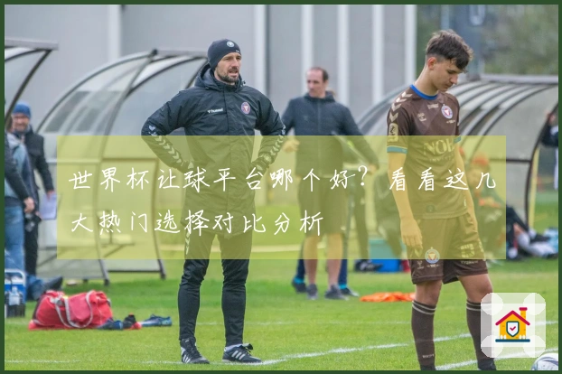 世界杯让球平台哪个好？看看这几大热门选择对比分析